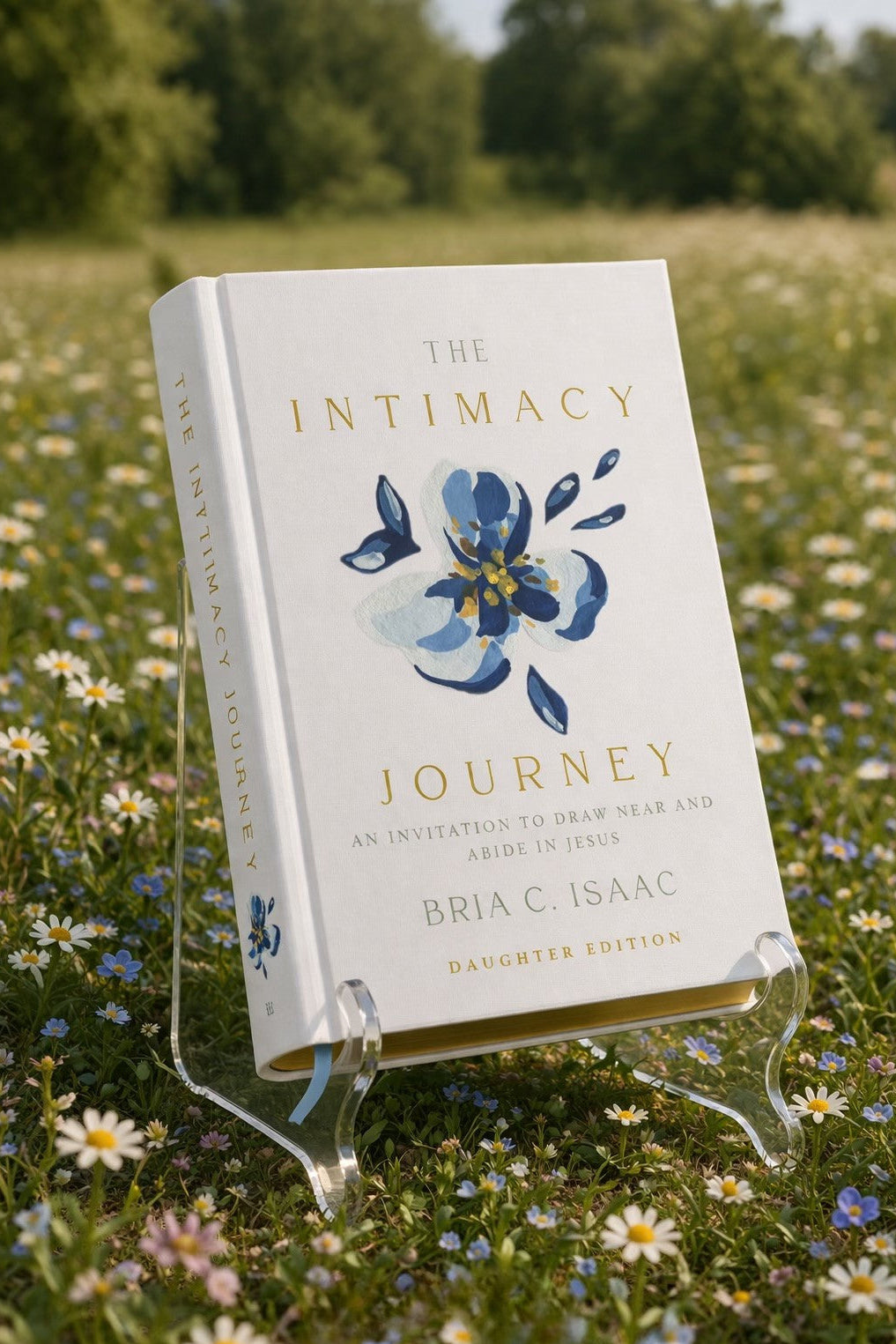 The Intimacy Journey